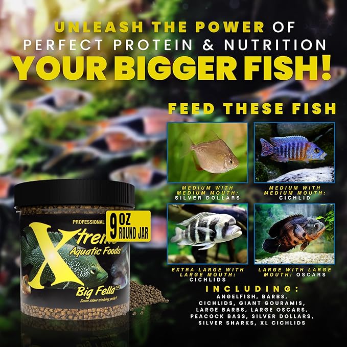 Xtreme Big Fella 3.0mm Pellets: Professional Nutrition for Medium to Large Cichlid/Community Fish - Boost Immune & Digestive Health, Color & Energy, Max Protein Fish Food – USA Farm Grown (9oz)