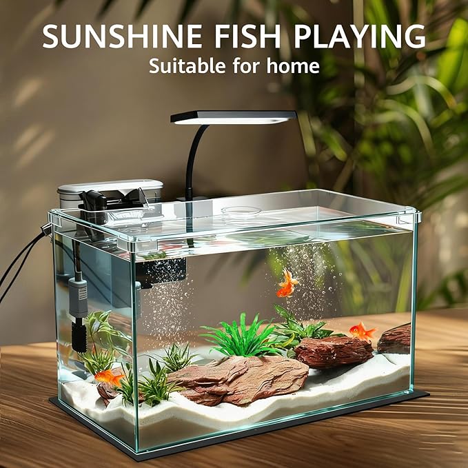 Vimvins 10 Gallon Glass Small Fish Tank with Filter Light and Lid, Aquarium Starter Kit