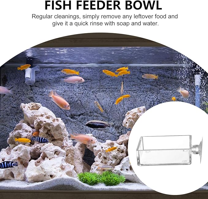 5pcs Aquarium Shrimp Feeder Dish with Suction Glass Fish Tank Feeding Bowls Clear Dishes Tray