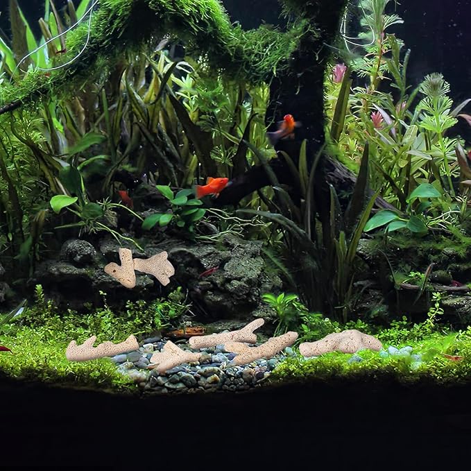 Ipetboom 3-10Cm Fish Tank Filtration Material Natural Coral Stones Aquarium Gravel Decorative Landscape Stone Betta Fish Tank Accessories 1.77X1.77X1.18In 500G