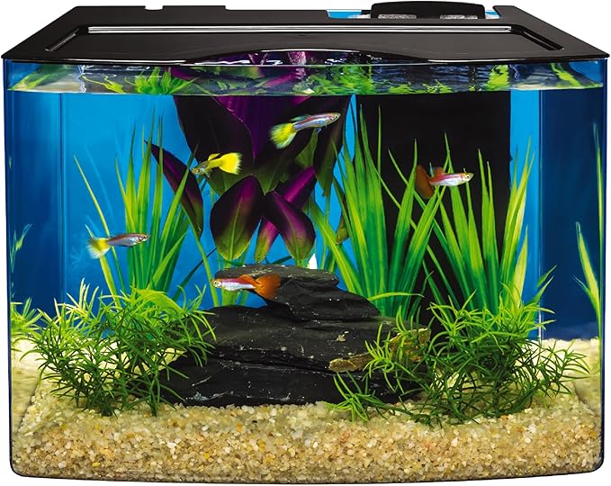 Tetra Crescent STEM Aquarium Kit 3 Gallons, Curved-Front Fish Tank with LEDs and STEM Activity Guide
