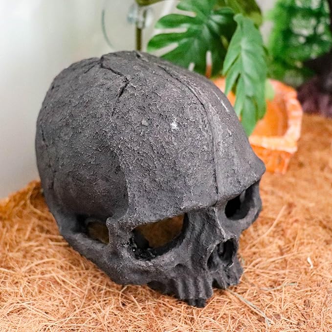 Oooct Resin Skull Sculpture, Black, Reptile Hideout for Fish, Bearded Dragon, Ball Python, Leopard Gecko, 4.7 x 3.5 x 3.7 Inch
