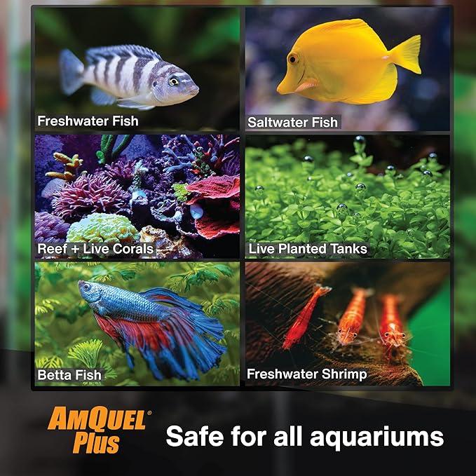 Kordon AmQuel Plus Aquarium Water Conditioner - Instantly Detoxifies Ammonia, Nitrite, Nitrate, and Chlorine Remover for Freshwater & Saltwater Aquariums, 1 Gallon
