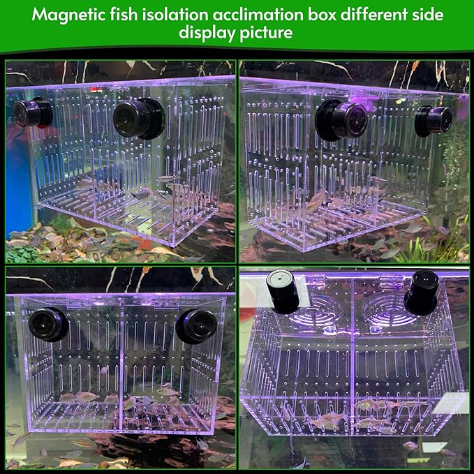 Magnet Acclimation Box for Saltwater Fish Quarantine Aquarium Isolation Box for Aquarium Fish Anemone Reef Coral