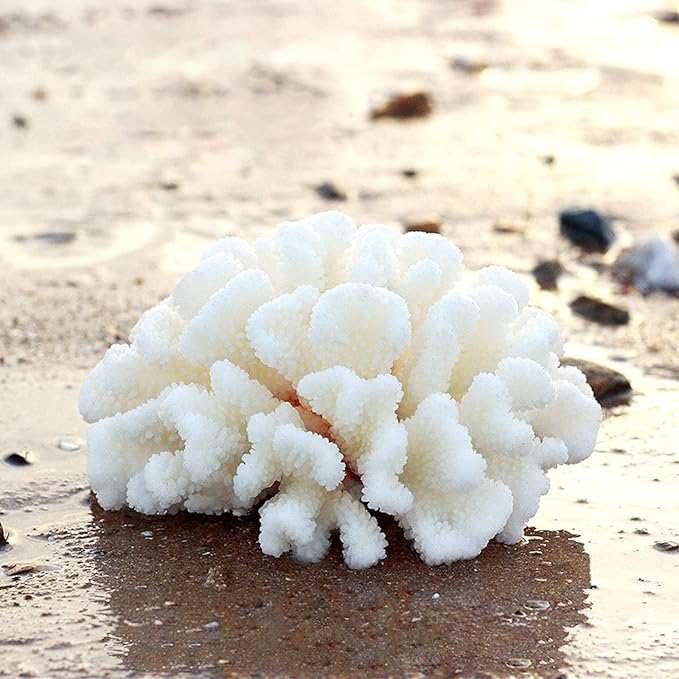 Besimple Pack of 2 Artificial Coral Ornament, Aquarium Resin Coral Decor Underwater Sea Plants Fish Tank Decoration Aquarium Plants