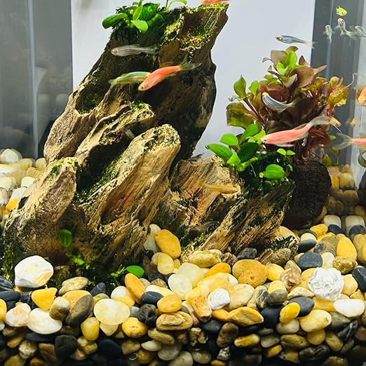 20LB Decorative River Rocks Gravel - 2/5" Mixed Color Gravel for Vase Filling, Flower Pot Paving. Gravel for Garden Decoration,Landscaping,Aquarium Aquascape Gravel, Fish Tanks Gravel(8-12MM)