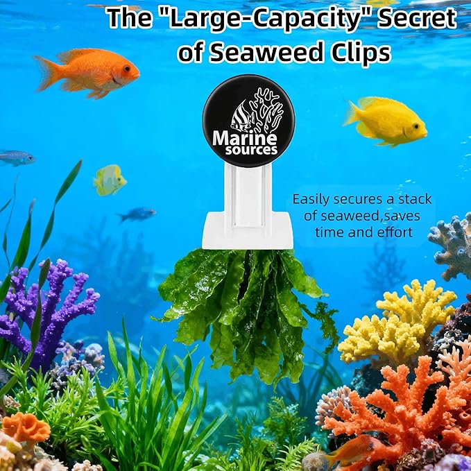 Magnetic Seaweed Feeding Clip for Saltwater Aquarium, Automatic Fish Feeder with Algae Magnet Clip, Glass Tank Accessory for Aquatic Pets, Up to 15mm Glass Thickness
