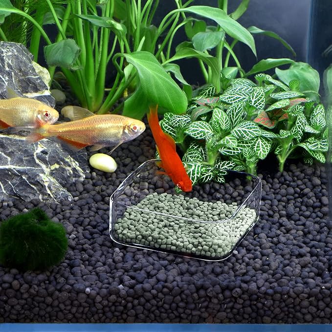 WEAVERBIRD Aquarium Shrimp Feeder Dish Fish Tank Feeding Bowls Glass Square Clear Dish Tray Plate