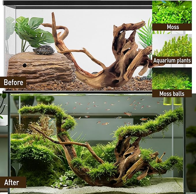 Kaiyuan Dynasty Natural Driftwood for Aquarium Sinkable Driftwood for Reptile Terrariums Fish Tank Decorations 12-16",About 1.5 lbs