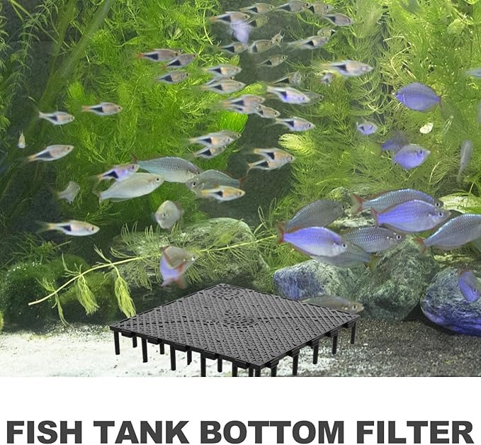 Scicalife Fish Tank Bottom Filter Plate 5.9X5.9 Inch PVC Undergravel Filter Board Water Permeable Aquarium Separator for Large Dragon Fish Breeding and Marine Tanks