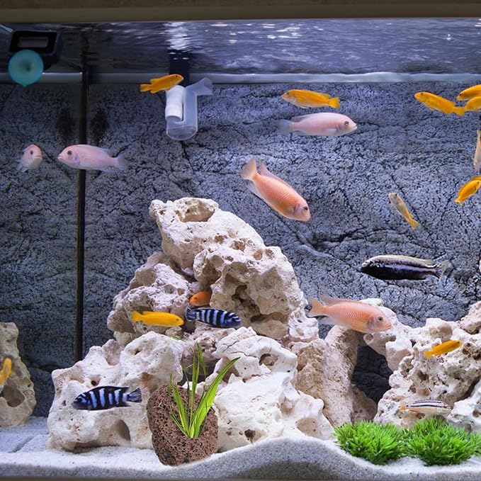 Yardwe Aquarium Rocks Volcanic Rocks 6Pcs Decorative Rocks Fish Tank Aquarium Landscape Ornaments (Random Color)