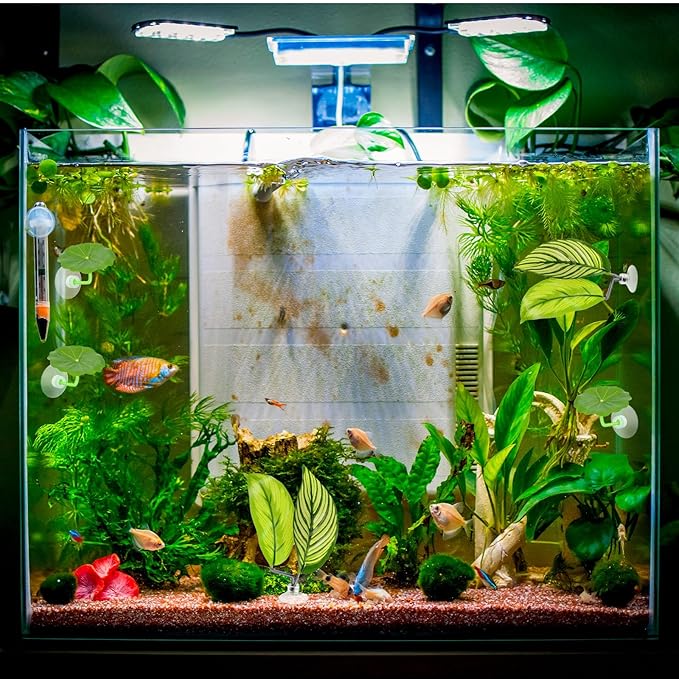 5 Pcs Fish Tank Accessories Aquarium Shrimp Hideout Betta Toys Betta Leaf Hammock Toys Set Plastic Aquarium Plants that Won’T Damage Fishtail Hideout with Spare Suction Cup for Smallfish