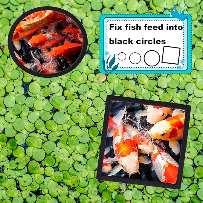 OIIKI 10 PCS Fish Feeding Rings Sets, Floating Aquarium Plant Corral, Floating Plant Rings, Oval and Square Fish Feeding Rings, Fish Tank Aquarium Accessories for Fish Tank, Floating Plants - Black
