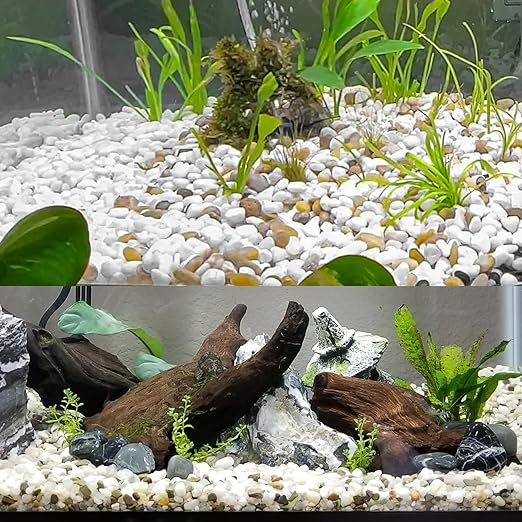 White Pebbles for Indoor Plants 3.5 LB Small River Rocks 1"-1.5" Polished Decorative Stones Smooth Aquarium Gravel for Fish Tank Vases Planters Outdoor Landscaping Garden (56oz)