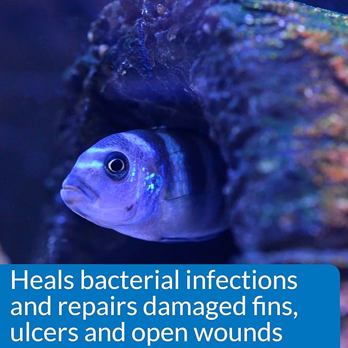 API MELAFIX Freshwater Fish Bacterial Infection Remedy 8-Ounce Bottle