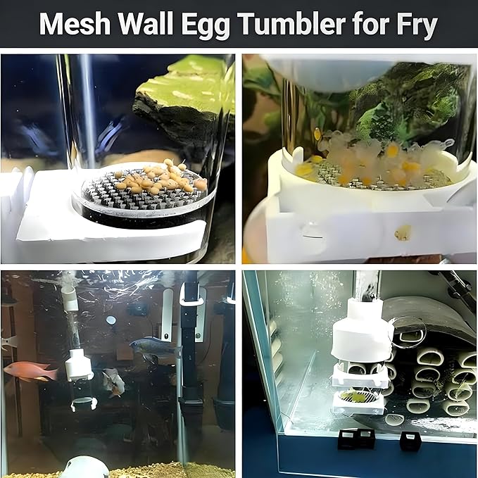 Aquarium Egg Incubator Tumbler - 50mm Fish Hatchery for Cichlids and Mouth-Brooding Species