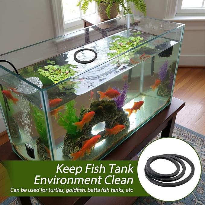 12 Pcs Aquarium Floating Plant Ring Round Fish Feeding Ring Floating Plant Corral Fish Feeder Black 3 Sizes Fish Accessories for Fish Tank Keep in Place Out of Filter