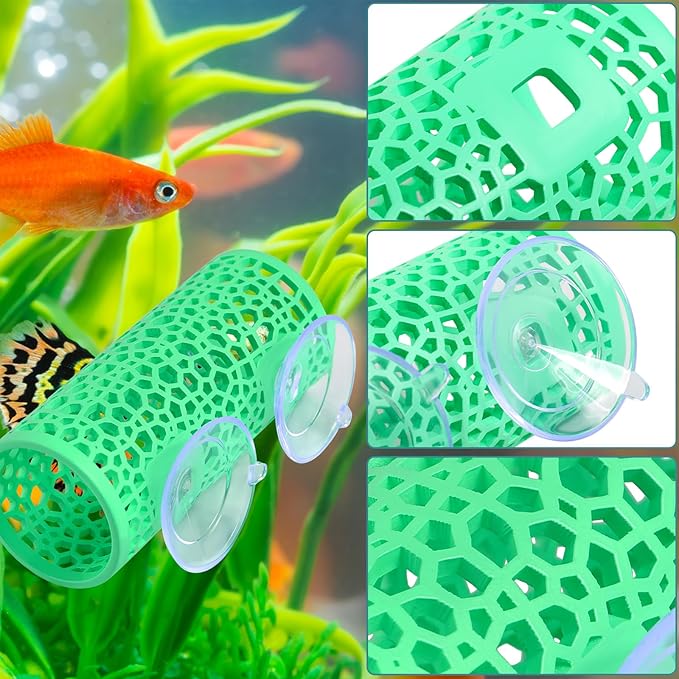 Abizoo Betta Fish Tunnel Hideout for Aquarium Decoration Hollow Coral Design Smooth Finish, Fish Tank Accessories Habitat Cave for Betta Shrimp Guppies Neon Tetras Zebra Danios Small Fishes,Mint Green
