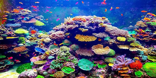 48X18 Inch Underwater World Aquarium Backdrop - Vibrant Coral Reef Tropical Fish Tank Background Vinyl Ocean Theme Decor