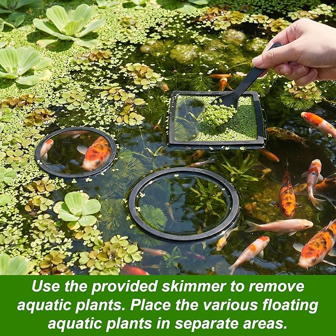 6 Pcs Aquarium Floating Plant Corral, Round & Square Fish Feeding Rings, EVA Fish Tank Accessories for Betta and Small Fishs, Floating Plant Barrier & Feeder Set with 2 Feeding Forks (Black)