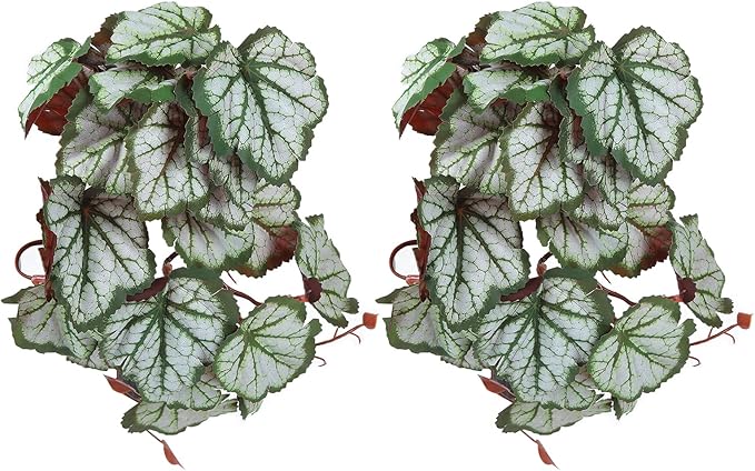 2PCS Artificial Water Plant,Simulation Vine,Lifelike Plastic Leaves Decoration with Suction Cup,Plastic Plant Aquatic Water Grass Decor for Fish Tank (Where Root Leaves)