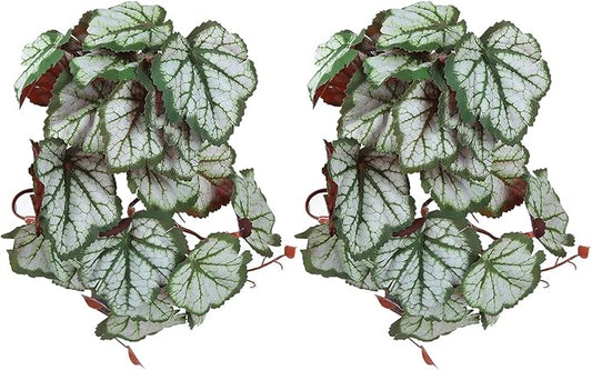 2PCS Artificial Water Plant,Simulation Vine,Lifelike Plastic Leaves Decoration with Suction Cup,Plastic Plant Aquatic Water Grass Decor for Fish Tank (Where Root Leaves)