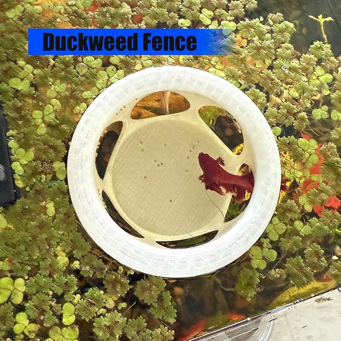 HOZOE Floating Betta Fish Hideaway, Aquarium Suspended Resting Spot, Feeder for Small Fish and Shrimp, 3D Printed, Decorative Floating Cave Accessory for Aquariums. (Translucent Color)