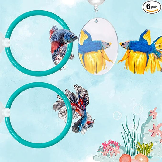 2 pcs Betta Ring Enrichment Toys with 1 pcs Betta Mirror, Exercise Training Ring and Floating Mirror for Fish Tank, Aquarium Feeding Rings with Floating Mirrors, Fish Toys, Bettas Toy (Teal, M-70mm)