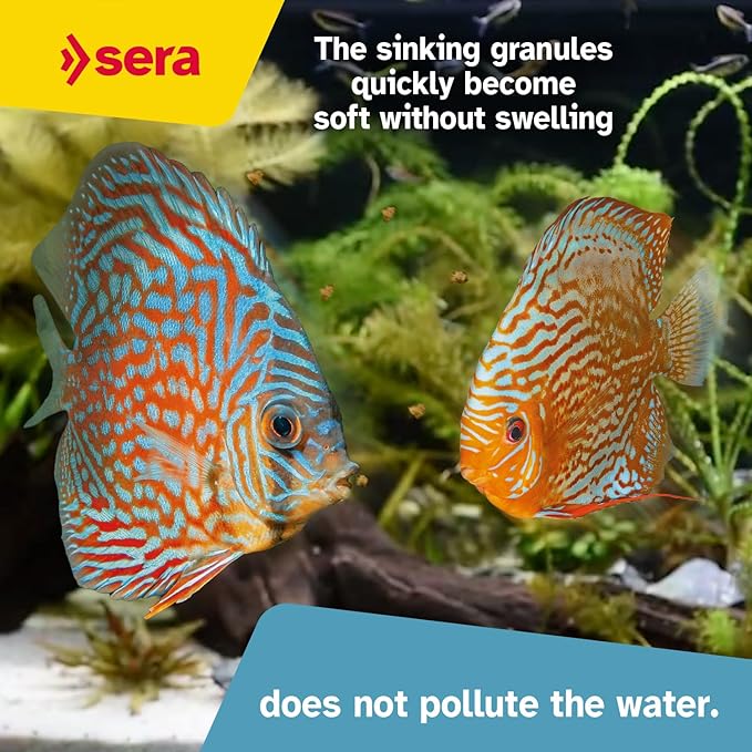 Sera Discus Granules 1000ml (14,8 fl oz) | Main Feed for All Discus & Ornamental Fish | Rich in Aquatic Proteins & Minerals | No Dyes or Preservatives | Boosts Growth
