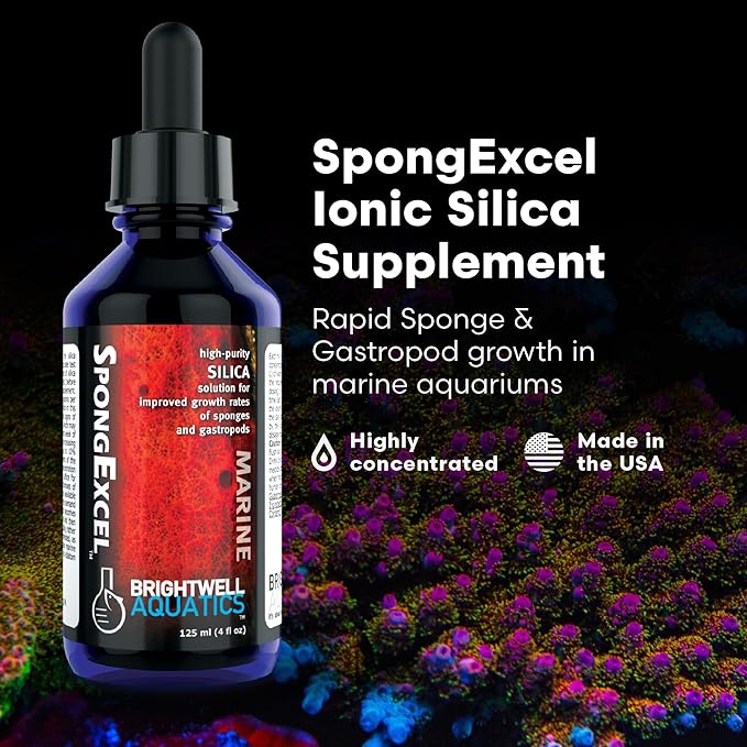 Brightwell Aquatics SpongExcel – Ionic Silica Solution for Marine Sponge & Gastropod Growth in Marine Aquariums, Boosts Water Quality, 125 ml