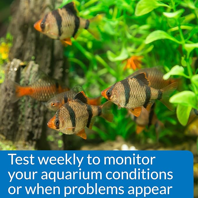 API Phosphate Test Kit For Freshwater And Saltwater, 64 OUNCES