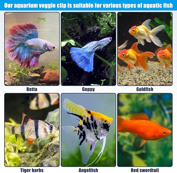 Waterproof Magnetic Seaweed Clip for Saltwater Fish Feeding nori Clip Aquariums Magnet Veggie Feeder Plant clamp Fish Accessories—Patented Product (1pcs Magnetic Veggie Clip)