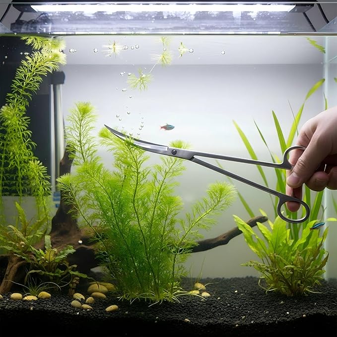 Long Aquarium Scissors for Plants 9.8 inches, Aquascaping Scissors Curved, Aquarium Plant Trimmer, Aquascape Tools, Terrarium Tools for Plants