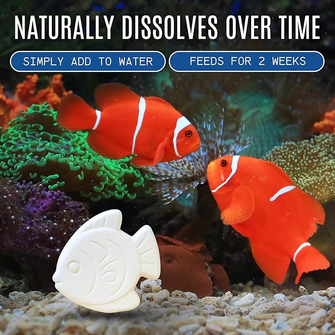 Vacation Feeder for Aquarium - 14 Day Feeder Block - Slow Release Fish Food for Betta, Goldfish & Tropical Fish - Aquatic Pet Tank Food (1 Pack of 2 Blocks)