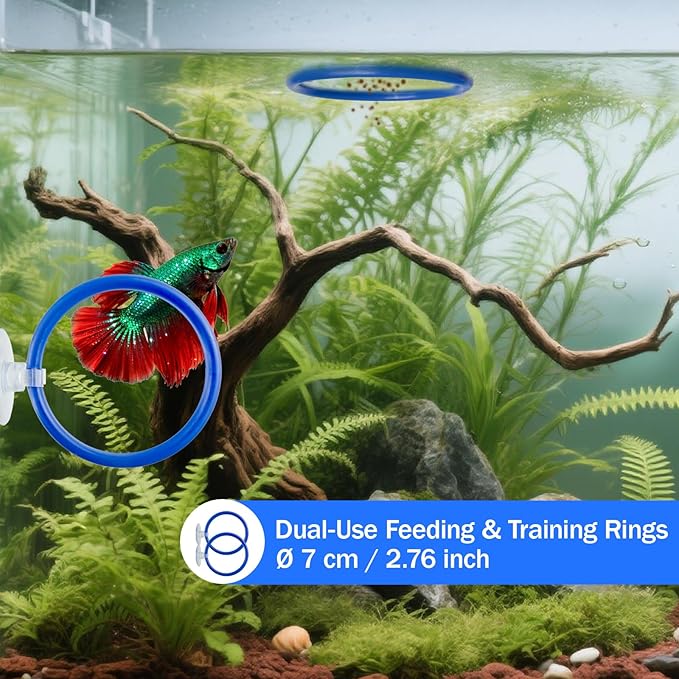 Betta Fish Toy Set,Betta Training Floating Mirror, Training/Feeding Ring, Spoon, and Resting Leaf. Promotes Exercise. Betta Toys, Resting & Feeding Kit