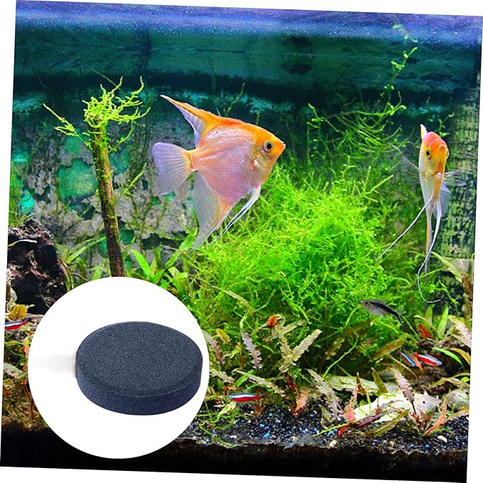 UPKOCH 4Pcs Air Bubble Stone Disc for Fish Tank Durable Oxygen Stones for Freshwater Saltwater Aquariums for and Hydroponics High Air Dispersion Corrosion