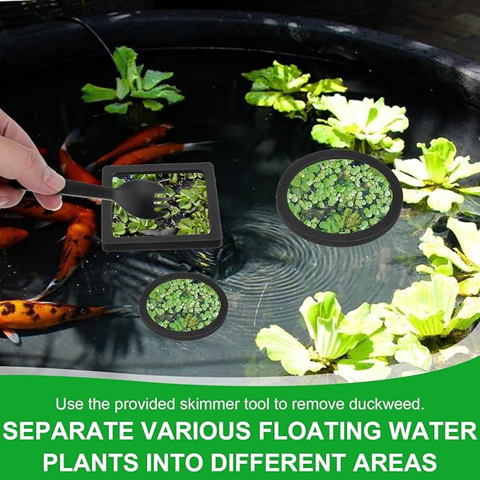 6PCS Aquarium Floating Plant Corral, Black EVA Fish Feeding Ring Set, Fish Tank Accessories for Mini Betta Tank, Floating Plants Holder|Feeder|Corral(3 Round + 3 Square)