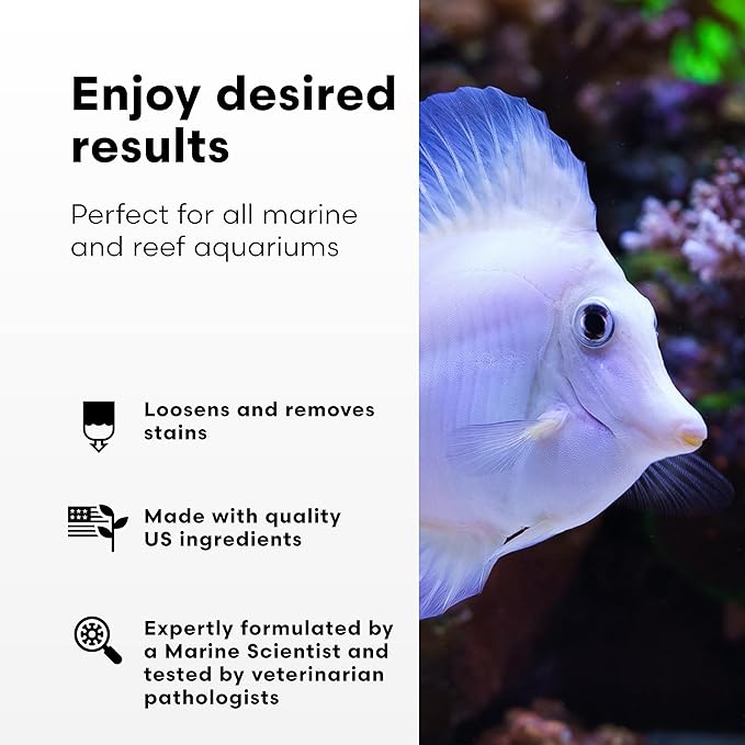 Continuum Aquatics Bacter Clean M for Reef & Marine Aquariums – Loosens Detritus, Cleans Live Rock, Reduces Organic Waste & Enhances Water Clarity Naturally, 4L