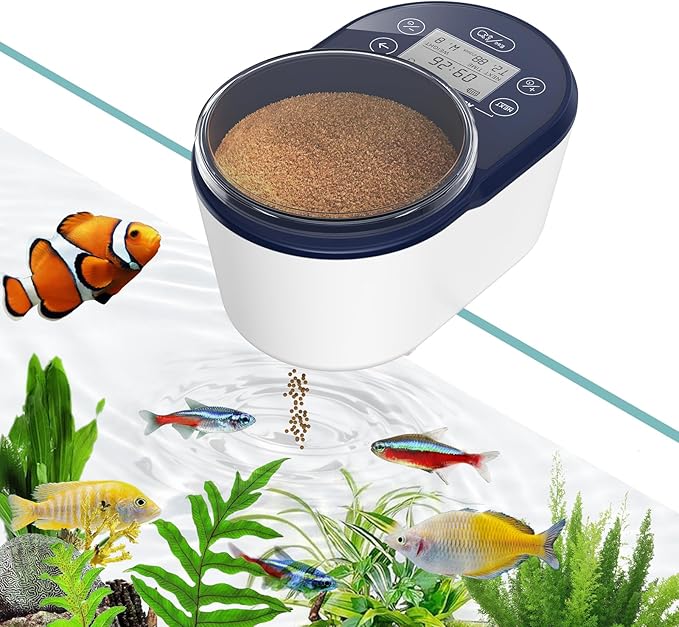 PAIZOO Automatic Fish Feeder, Rechargeable Timer Fish Dispenser for Aquarium, Moisture-Proof Betta Food Vacation Feeder with LCD Display for Betta, Goldfish, Shrimp