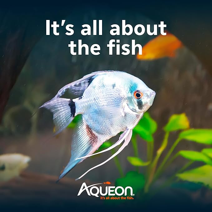 Aqueon Genuine EcoRenew Filter Cartridges, for Freshwater and Saltwater Aquariums, Large, 6-Pack