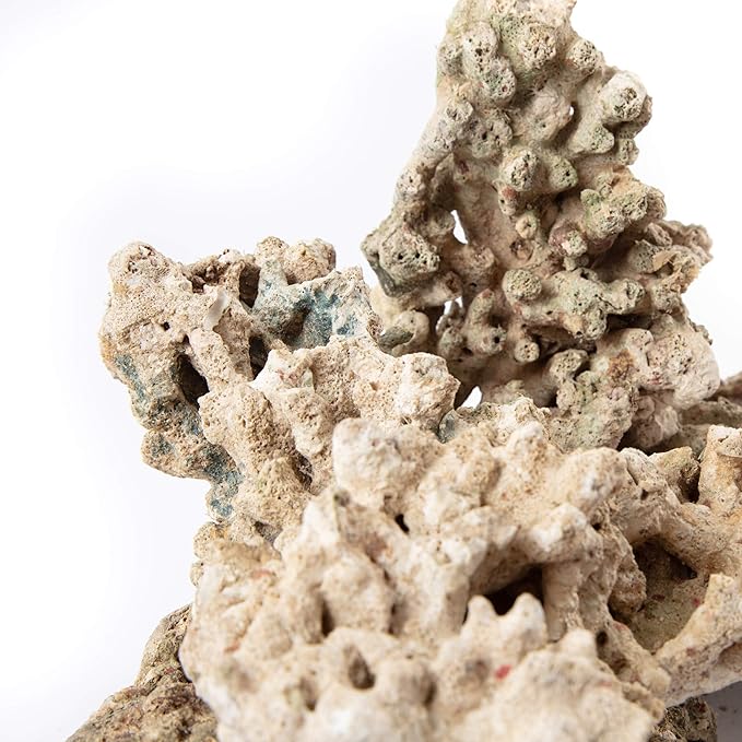 iQuatics Aquarium Dried Reef Rock Mixed Pack (5kg)