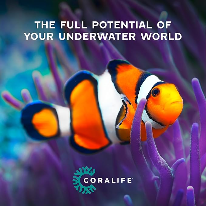 Coralife SMART BioCube Jr, Aquarium Kit, Wi-Fi and Bluetooth Compatible, for Saltwater and Freshwater Environments, 14 Gallons