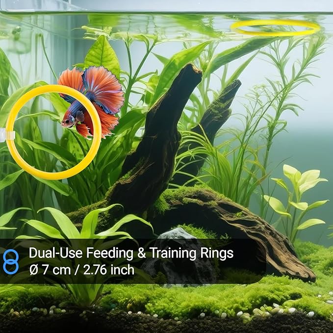 Betta Fish Toy Set: Betta Training Floating Mirror, Training/Feeding Ring, Spoon, and Resting Leaf. Promotes Exercise. Betta Toys, Resting & Feeding Kit.