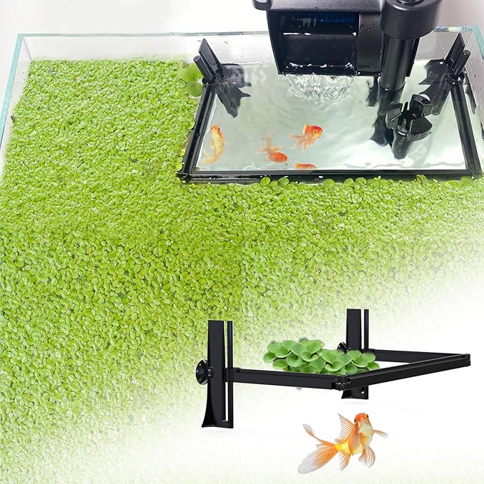 Pryitier Aquarium Floating Plant Barrier, Floating Plant Corral Self Adjusts to Water Level Fish Tank Fence Keeps the Floaters Away from the Filter