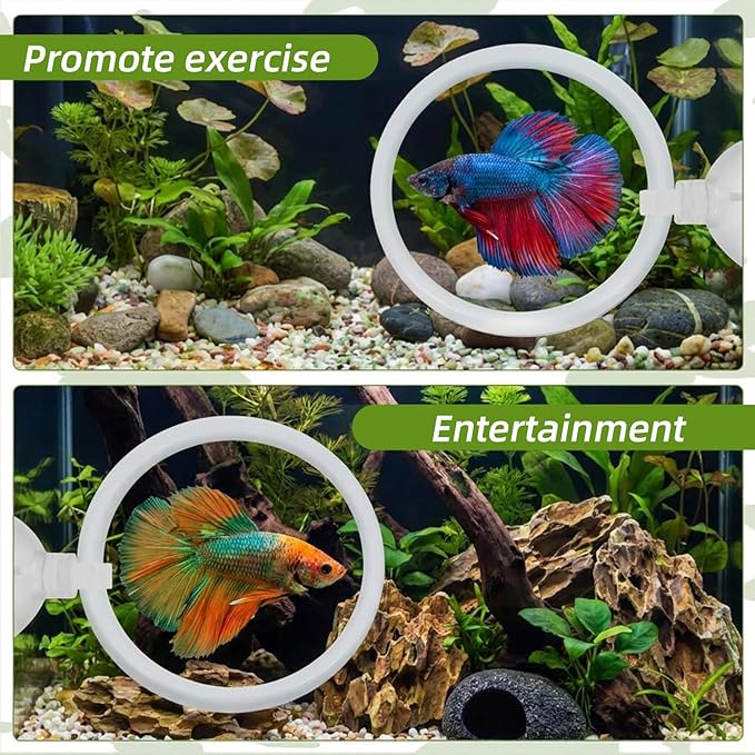 2 Pcs Betta Fish Exercise Ring & Mirror Set, Floating Enrichment Toys with Feeding Ring for Betta Tank, Training & Play Accessories to Prevent Boredom, Safe Aquarium Decor for Beta Fish