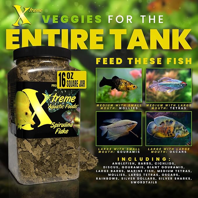 Xtreme Spirulina Flakes - Balanced Herbivorous Diet for Tropical and Marine Fish, Enhanced Health, Vibrant Colors - USA Farm Grown - Ideal for Cichlids, Barbs, Tetras and Guppies (16oz)