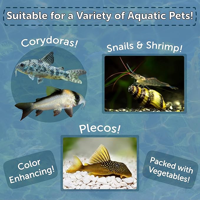 8mm - 1/3" Small Sinking Wafers of Spirulina, Algae & Color Enhancing Wafers for Bottom Fish, Shrimp, Snails & Tropicals 4-Type Wafer & 12-Type Pellet Mix Included..6oz Canister