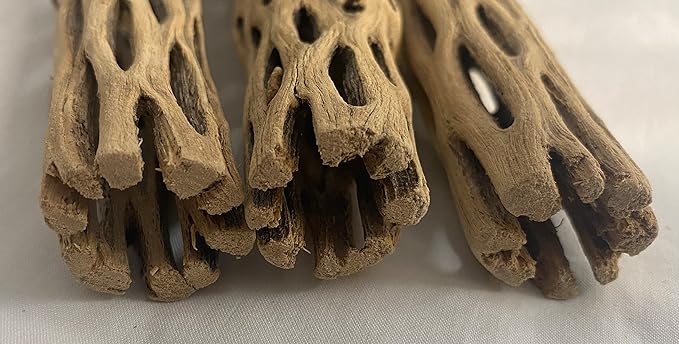 Awesome Aquatic Natural Cholla/Choya Wood 3 Pieces 12” for Shrimp Habitat and Food Treat Hermit Crabs Plecos Aquarium Decoration Lowers pH Hideouts and Chew Toys Reptiles Thorn Free Dried Organic