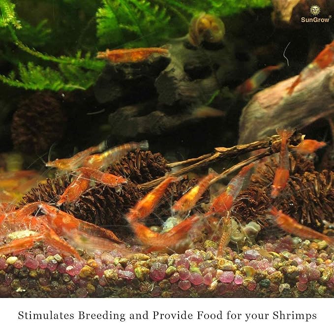 SunGrow Alder Cones for Shrimps, Water Conditioner for Freshwater Shrimp Tanks, Aquarium Decorations & Accessories (50 Pcs)