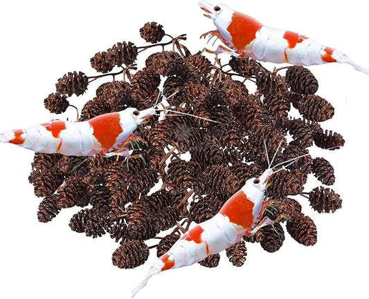 SunGrow Alder Cones for Shrimps, Water Conditioner for Freshwater Shrimp Tanks, Aquarium Decorations & Accessories (50 Pcs)